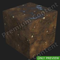 PBR Substance Material of Ground Forest Wet